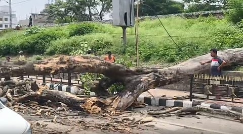 Guwahati: College Student Dies After Tree Collapses on Scooter in Bhootnath area
