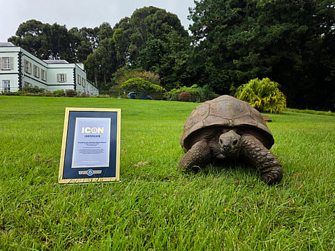 Oldest Living Land Animal
