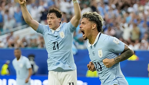 Maxi Araujo