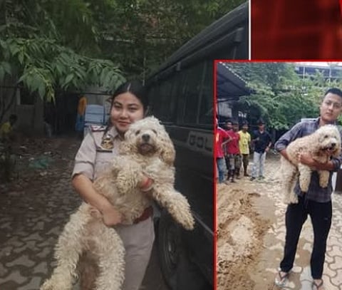 Zubeen Garg’s Missing Pet Dog Echo Found Safe in Nabin Nagar