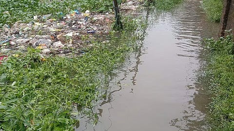 Waterlogging
