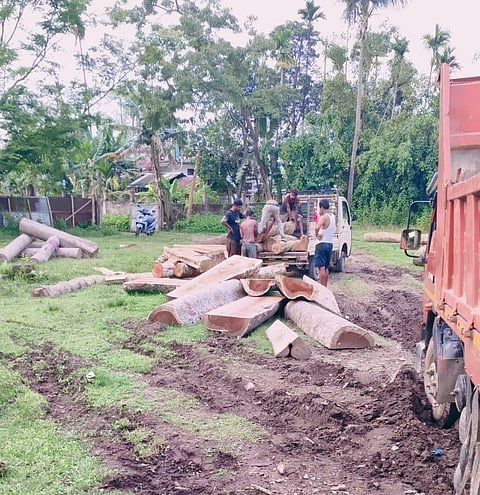 sawmills