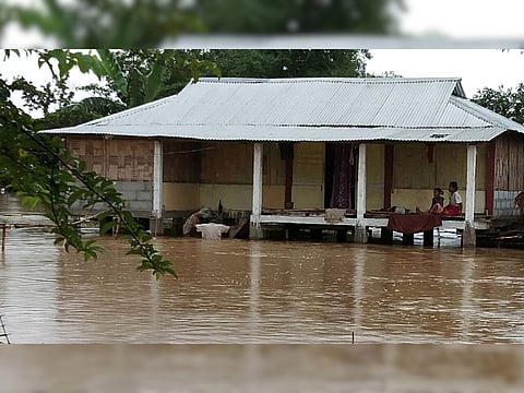 Assam flood