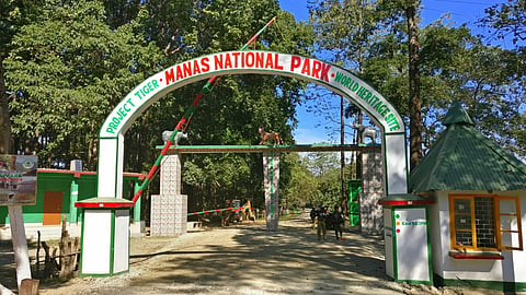 Manas National Park