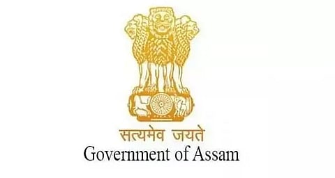 government