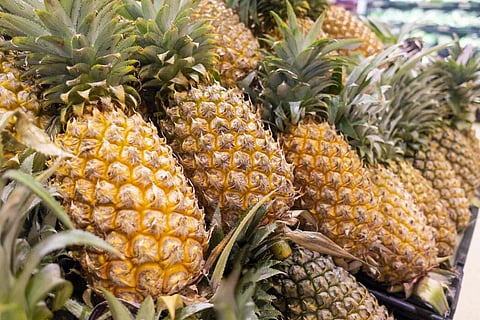 International Pineapple Festival