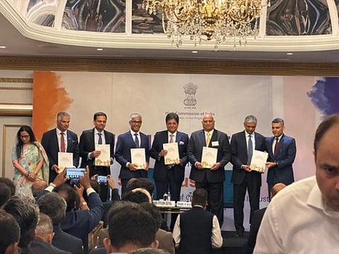 Piyush Goyal