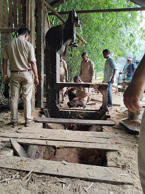 Illegal sawmill
