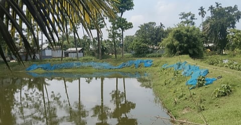 Nona Riverbed