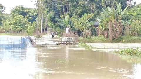 Flood