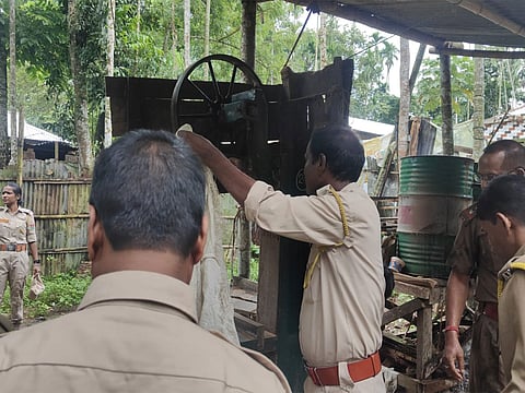 Illegal Sawmills