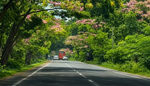 Nagaon–Batadroba