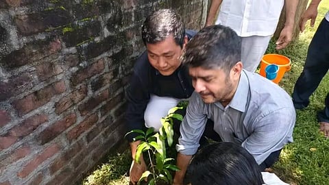 Plantation Drive