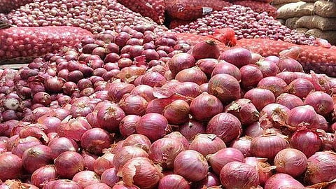 onion procurement price