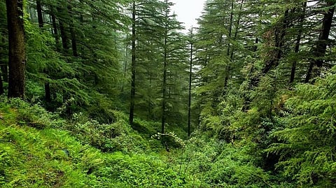 Kamrup