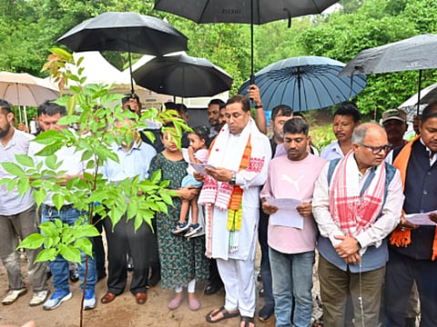 ‘Janmadin Seuj Shapat Udyan’