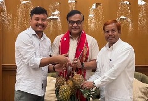Himanta Biswa Sarma
