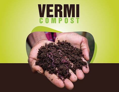 Vermicompost production