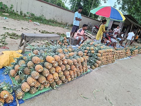 Assam: Plunging Prices Leave Kekang-Adong Pineapple Farmers in Distress