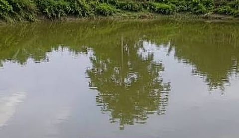 Four-Year-Old Child Dies After Allegedly Being Thrown into Pond in Nagaon