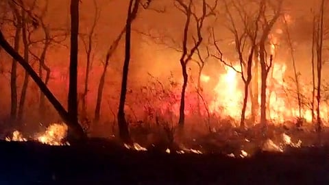 Tension Erupts in Biswanath’s Bihali Forest After Arunachal Miscreants Open Fire on Forest Staff