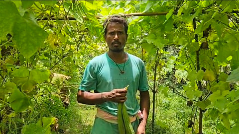Niranjan Medhi