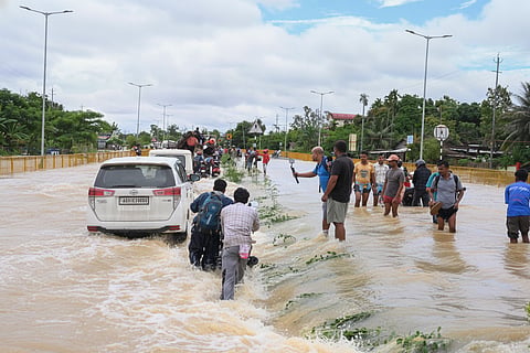 Flood Fury