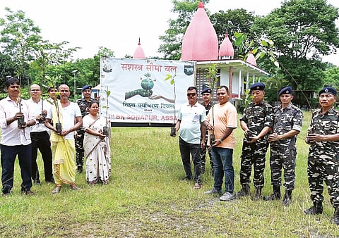 plantation drive