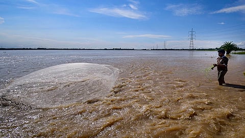 Flood Fury