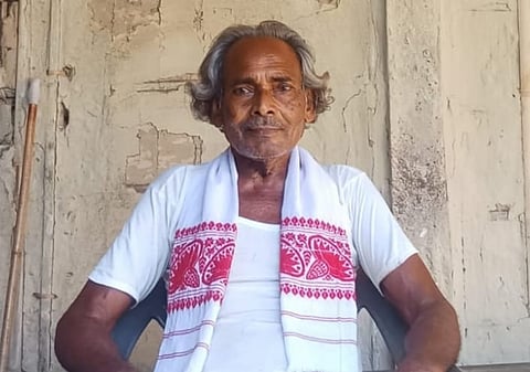 Oja-Pali Maestro