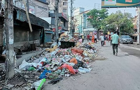 Waste Segregation