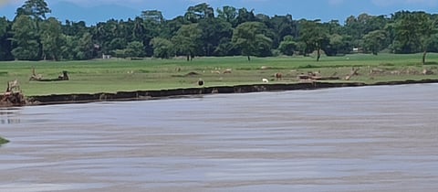 Dhansiri erosion