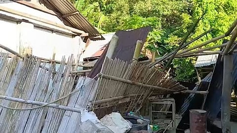 Wild Elephants Damage Houses, Paddy Sheds in Samaguri