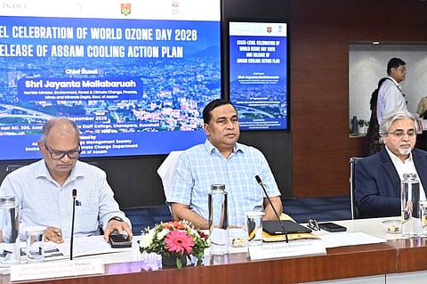 Cooling Action Plan