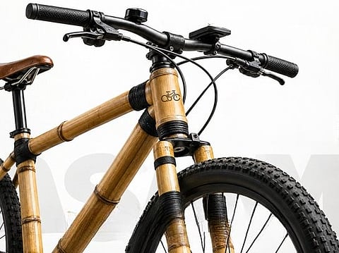 Bamboo Bicycle