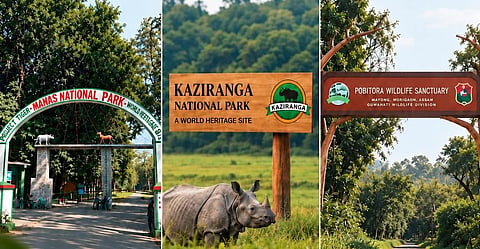 Assam Wildlife Destinations Reopen for New Tourism Season