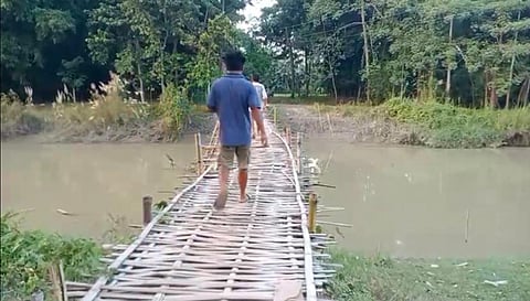 bamboo bridge