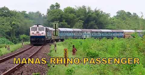 Manas Rhino Express