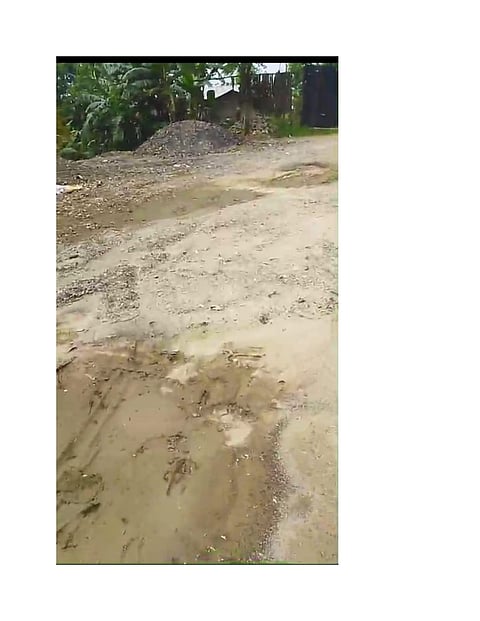 Assam Mala Project