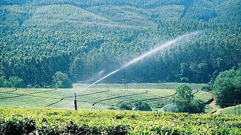 Assam: Government Plans Over Rs 6,000 Crore Irrigation Projects Across 11 Districts