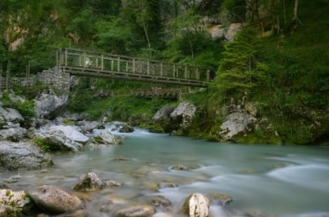 Forest Official Warns Article 371A Is Not "Untouchable" Amid Wildlife Standoff