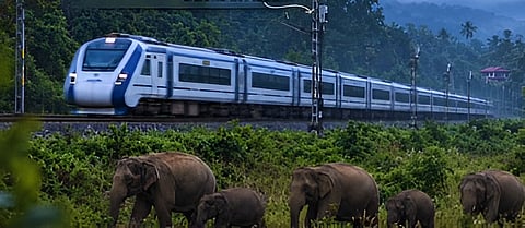 Assam Uses AI-Enabled Railway Alerts to Prevent Elephant Death