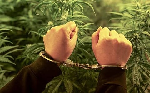 Guwahati Police Seize 5 Kg of Marijuana at Jayanagar