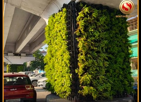 Guwahati Flyovers Set for Mega Green Makeover Under ₹25-Crore Project
₹25-Crore Beautification Project Targets 20 Key Traffic Corridors to Combat Pollution Before Durga Puja