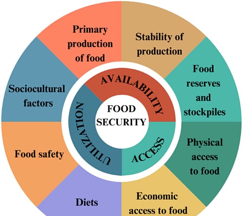 food security