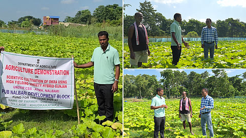 Nalbari farmers