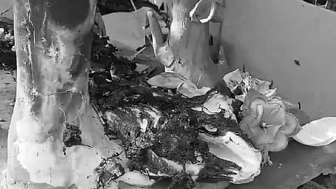 Assam: Durga Puja Pandal Set on Fire in Jagiroad