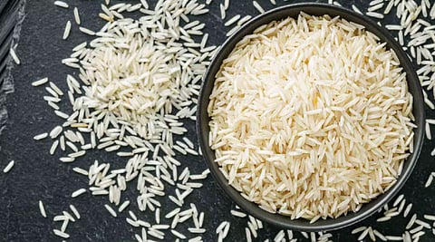 India holds 40% of global rice exports, key to world food security: Experts