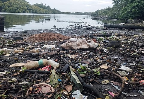polluted rivers