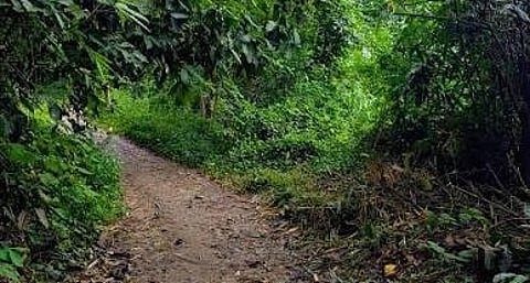 Garbhanga Reserve Forest.